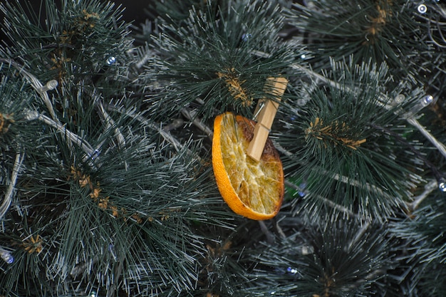 Dried orange on the Christmas tree. Decoration. Close up