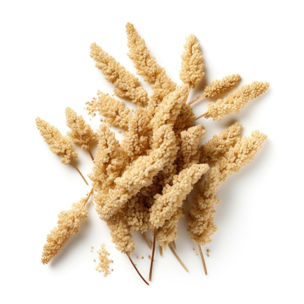 Dried Quinoa clusters isolated on white background Generative AI