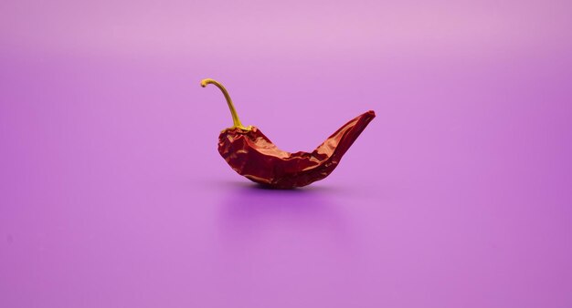 Dried red chili peppers against a vivid lilac background