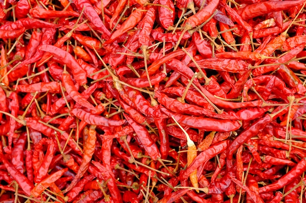 Dried red hot chilli peppers