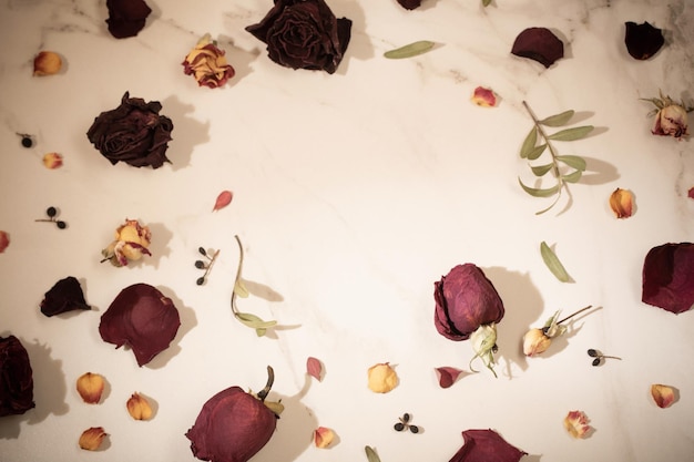 Dried red roses on marble background