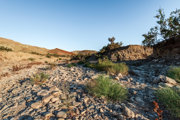 Dried riverbed of a mountain river