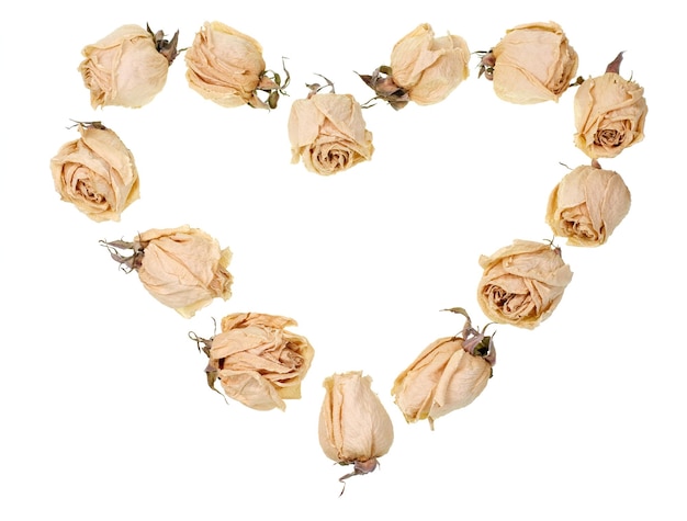 Dried roses