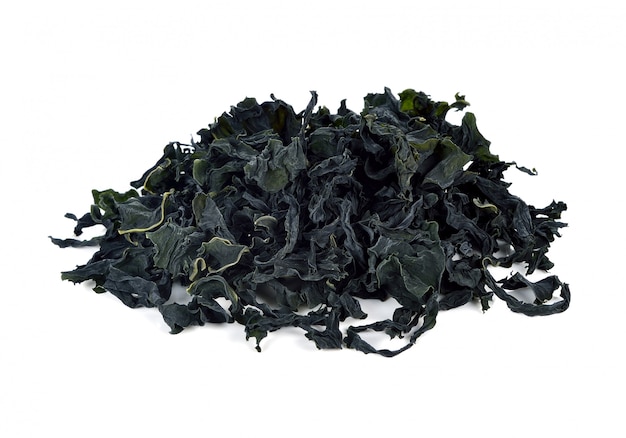 dried seaweed isolated