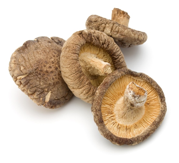 Dried Shiitake Mushroom isolated on white background