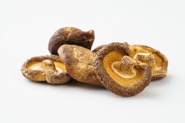 Dried shiitake mushrooms on a monochrome background