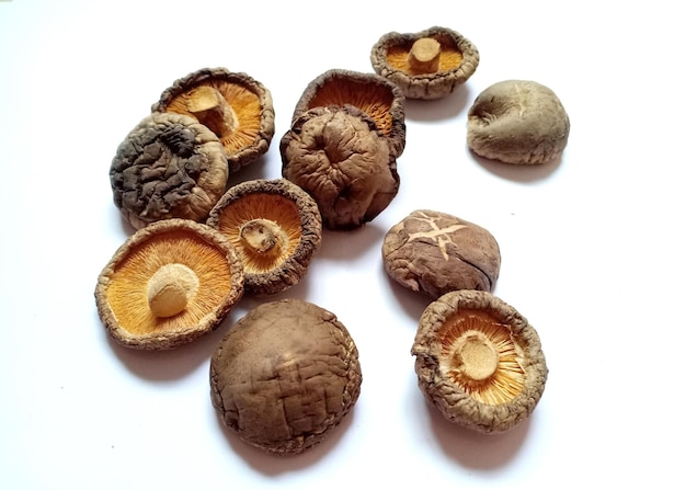 Dried shiitake mushrooms on white background.