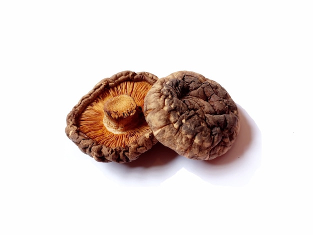 Dried shiitake mushrooms on white background