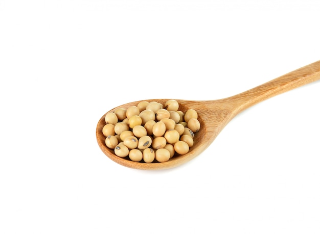 Dried soybean isolated