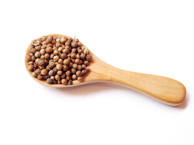 Dried spices and herbs with coriander seed in wooden spoon 