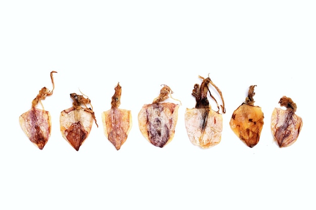 Dried squid on white background