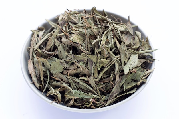 Dried stevia on white background