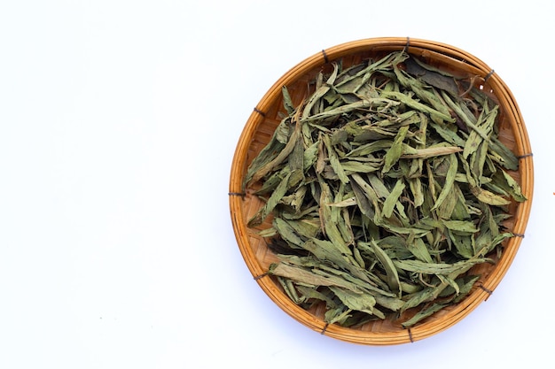 Dried stevia on white background