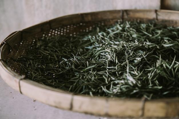 Dried tea leaves after sun exposure. To drink tea.