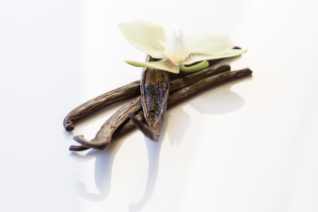 Dried vanilla pods and vanilla orchid on wooden table