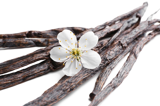 Dried vanilla sticks and flower on white background closeup