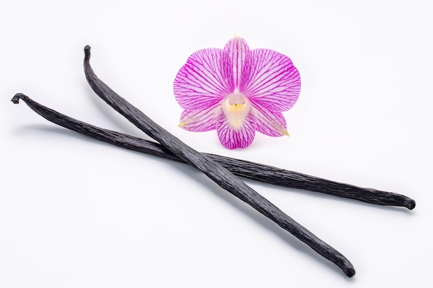 Dried vanilla sticks and orchid flower isolated on white backgroundxD