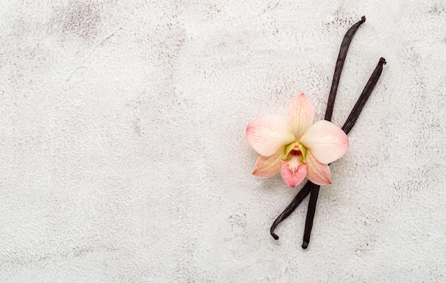 Dried vanilla sticks and orchid flower set up on white concrete background