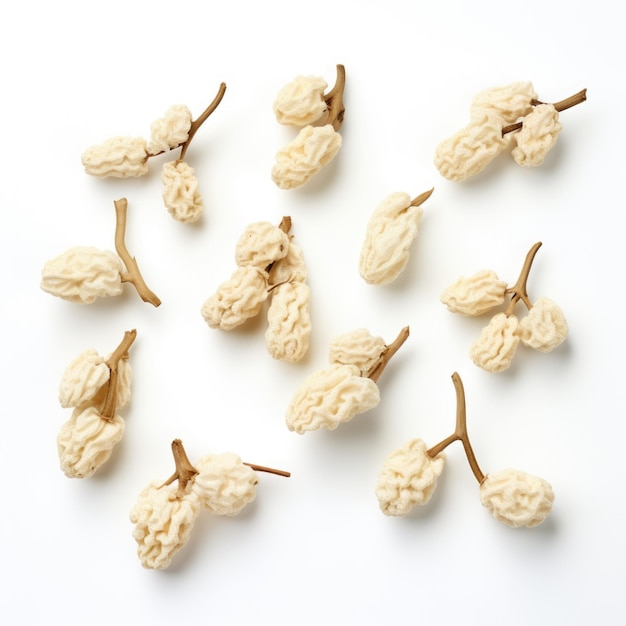 Dried White mulberries isolated on white background Generative AI