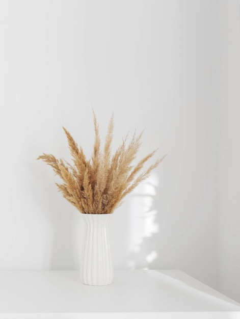 dried wild flowers in white vase on wooden shelf on background white wall