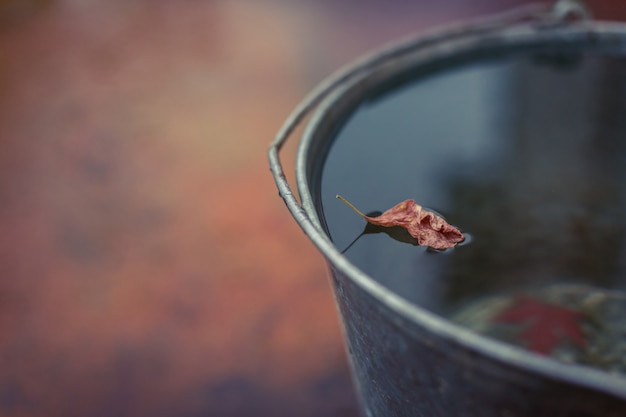 Dried yellow autumn leaf floats in a bucket full of water