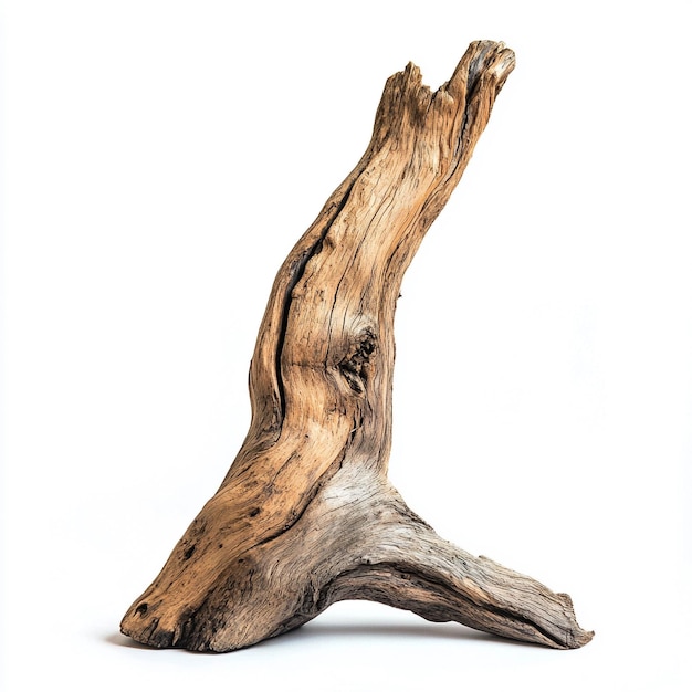 Photo driftwood on white background