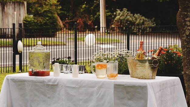 Drinks on table against plants