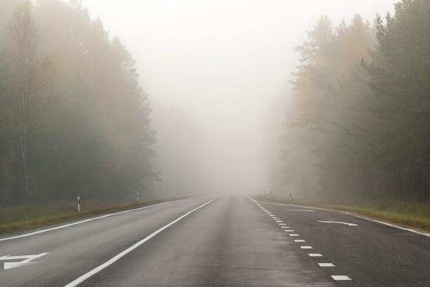 Driving on countryside road in fog. Illustration of dangers of driving in bad weather conditions.