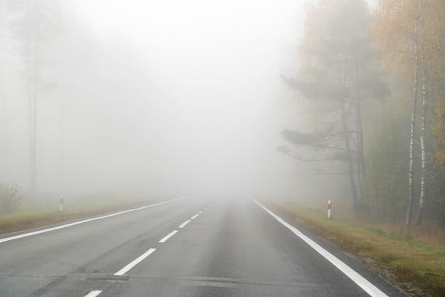 Driving on countryside road in fog. Illustration of dangers of driving in bad weather conditions.