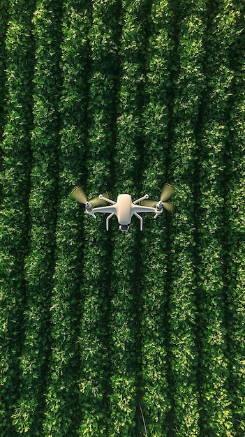 Drone 3D Illustration Aerial View Over Green Crops in Precision Agriculture