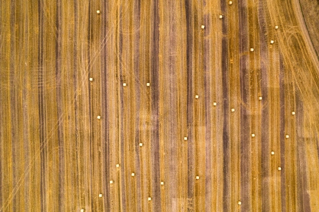 Drone flight over a harvested grain field with straw bales top view