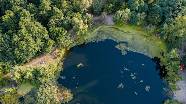 Drone photo over beautiful lake with green trees