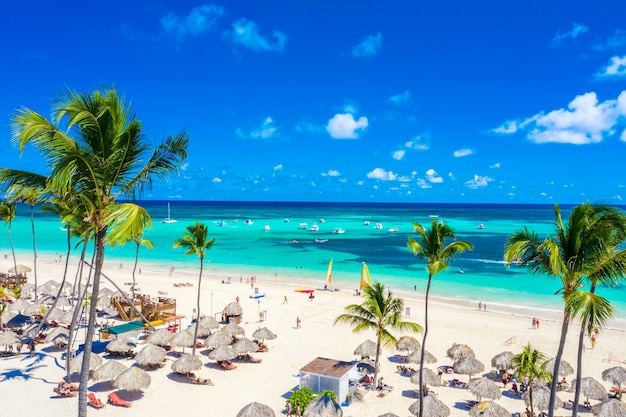 Drone view of atlantic tropical beach with palms, straw umbrellas and boats