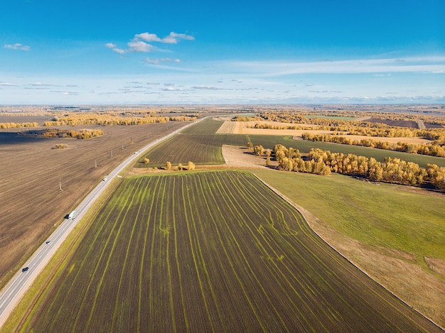 Photo drone view of the endless beautiful fields of cultivated plowed land with planted forests and trees extending beyond the horizon. long road across the field. concept of seeds