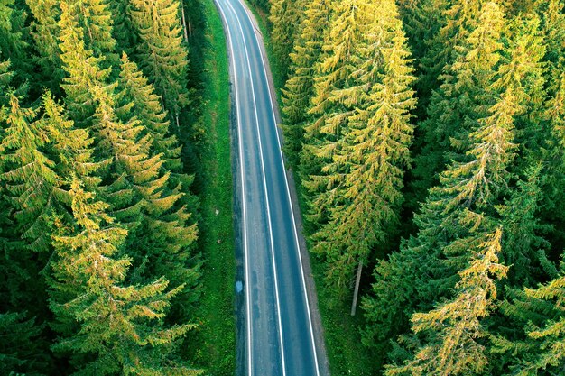 Drone view of a mountain road in an autumn forest