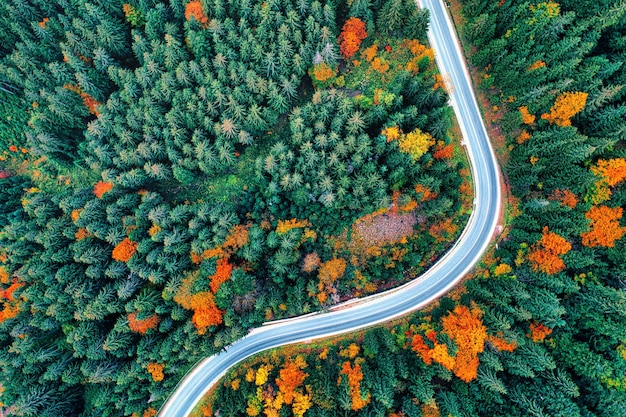 Drone view of a mountain road in an autumn forest