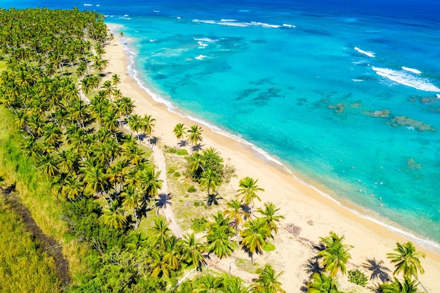 Drone view of wild caribbean tropical beach in Dominican Republic