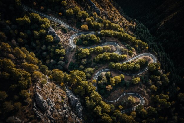 Drone view of winding road surrounded by lush green trees in forest generative AI