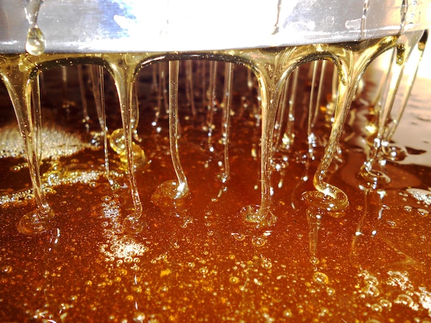 Photo drop of bee honey drip from hexagonal honeycombs