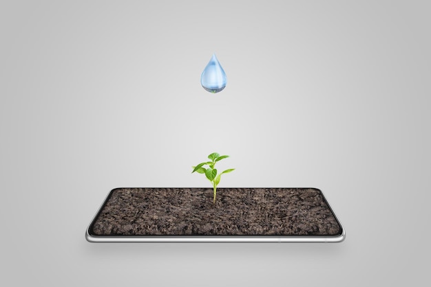 Drop of water falls on a plant growing from a phone display Concept of automatic irrigation with the help of technology