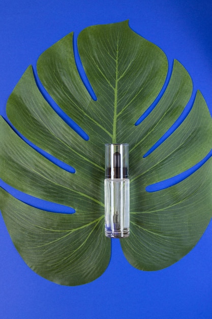 Dropper glass Bottle. Cosmetic pipette on blue with tropical leaf. Flat lay