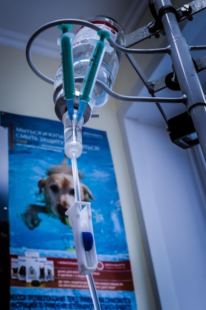 Dropper in the veterinary clinic jar of glucose solution and syringe