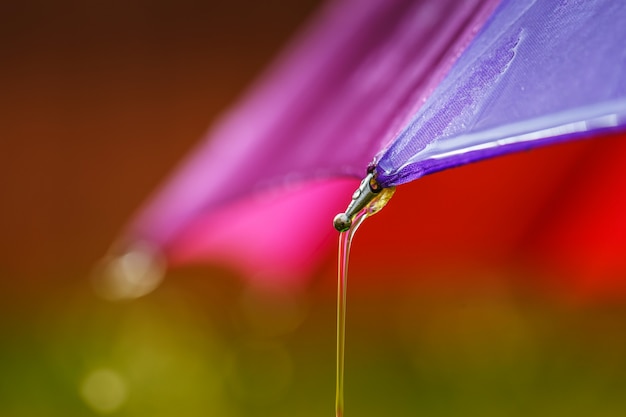 Drops of water run down from the umbrella. 