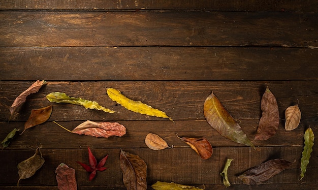 Dry autumn leaves flat lay on dark background with copy space