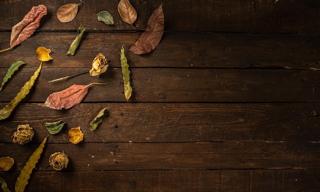 Dry autumn leaves flat lay on dark wooden background with copy space