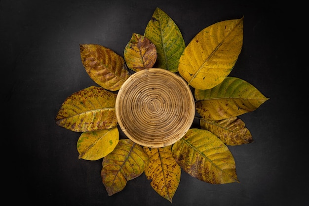 Dry autumn leaves flat lay on dark wooden background with copy space