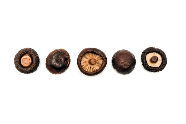 Dry and boiled champignon mushrooms on a white surface