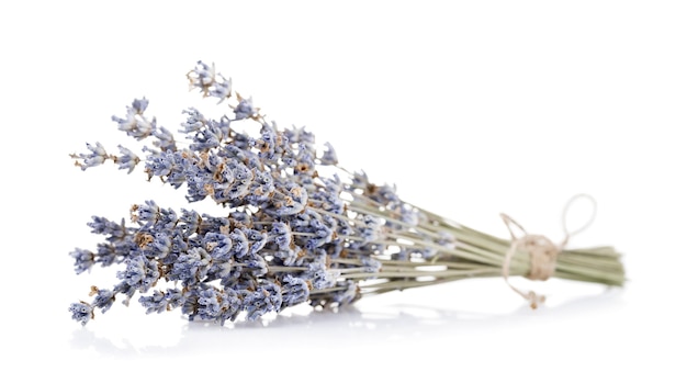 dry branch of lavender isolated on white background