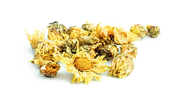 Dry Chrysanthemum on white background