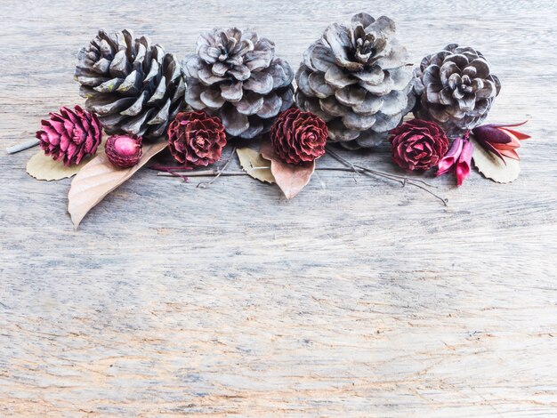 Dry cone pine, leaf and flower